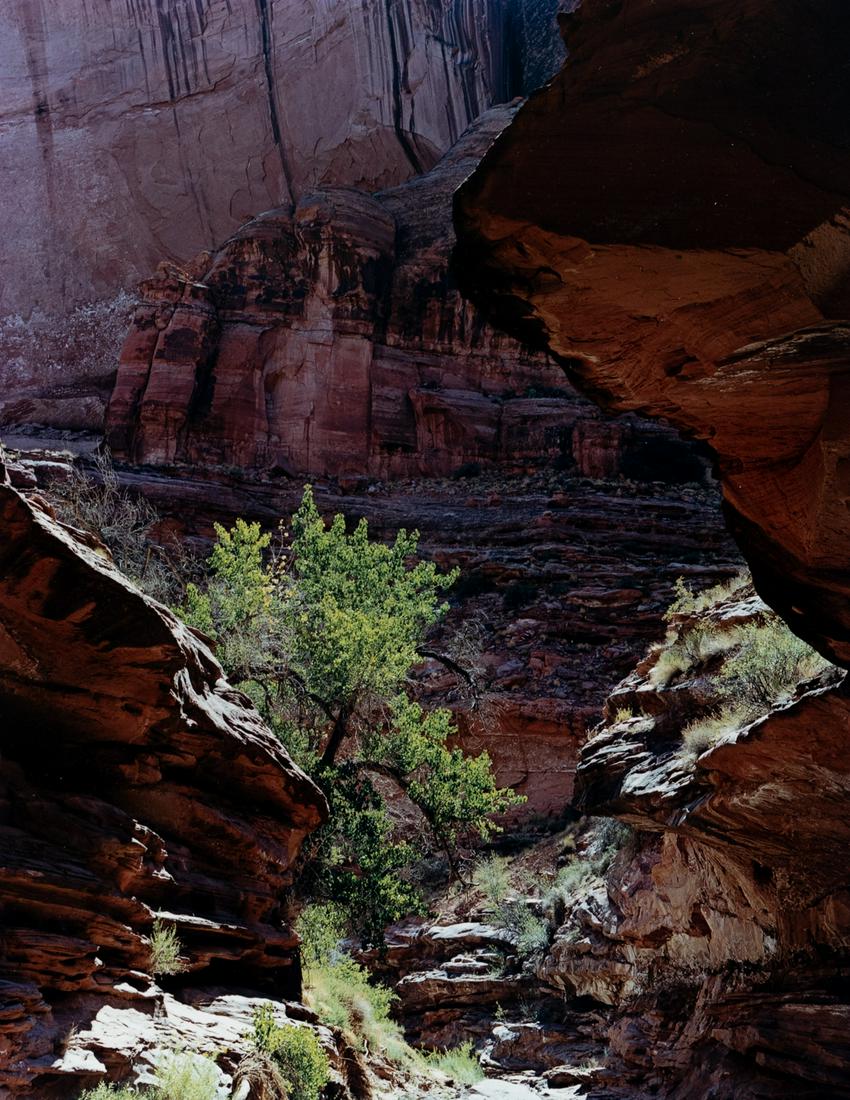 ELIOT PORTER Coyote Gulch Glen Canyon (1 of 3)