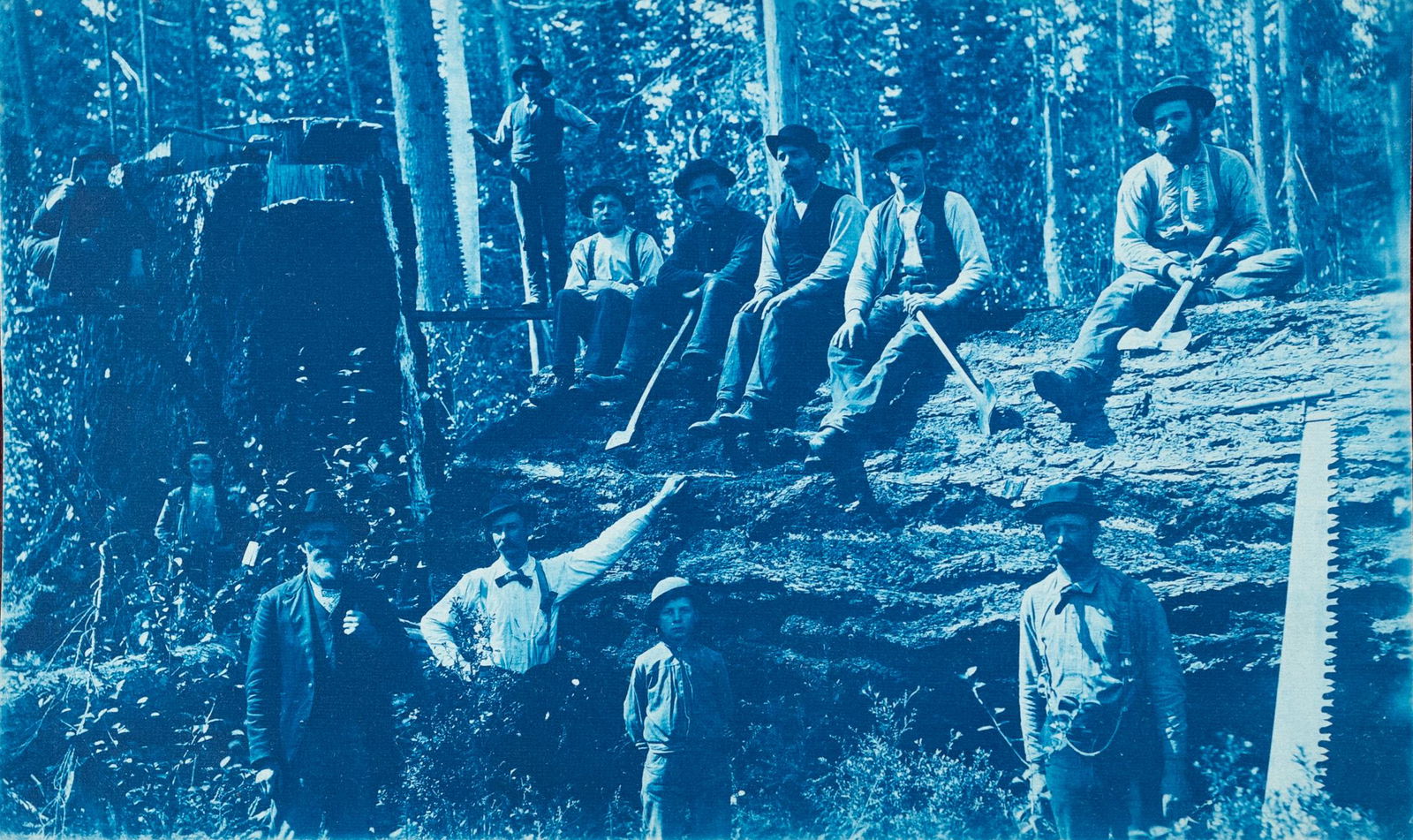 2 Cyanotypes Loggers Wa 1890s spectacular (1 of 6)