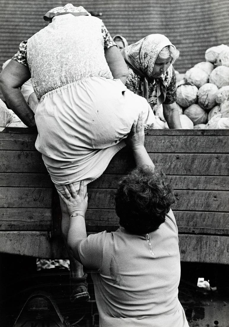 ALENA VYKULILOVA From the Cabbage Cycle: ALENA VYKULILOVA. From the Cabbage Cycle, c. 1970s. 14.5x10.1" gelatin silver print. Printed c. 1970s. Inscribed in Czech in pencil on print verso; artist's address stamp in blue ink, crossed out with