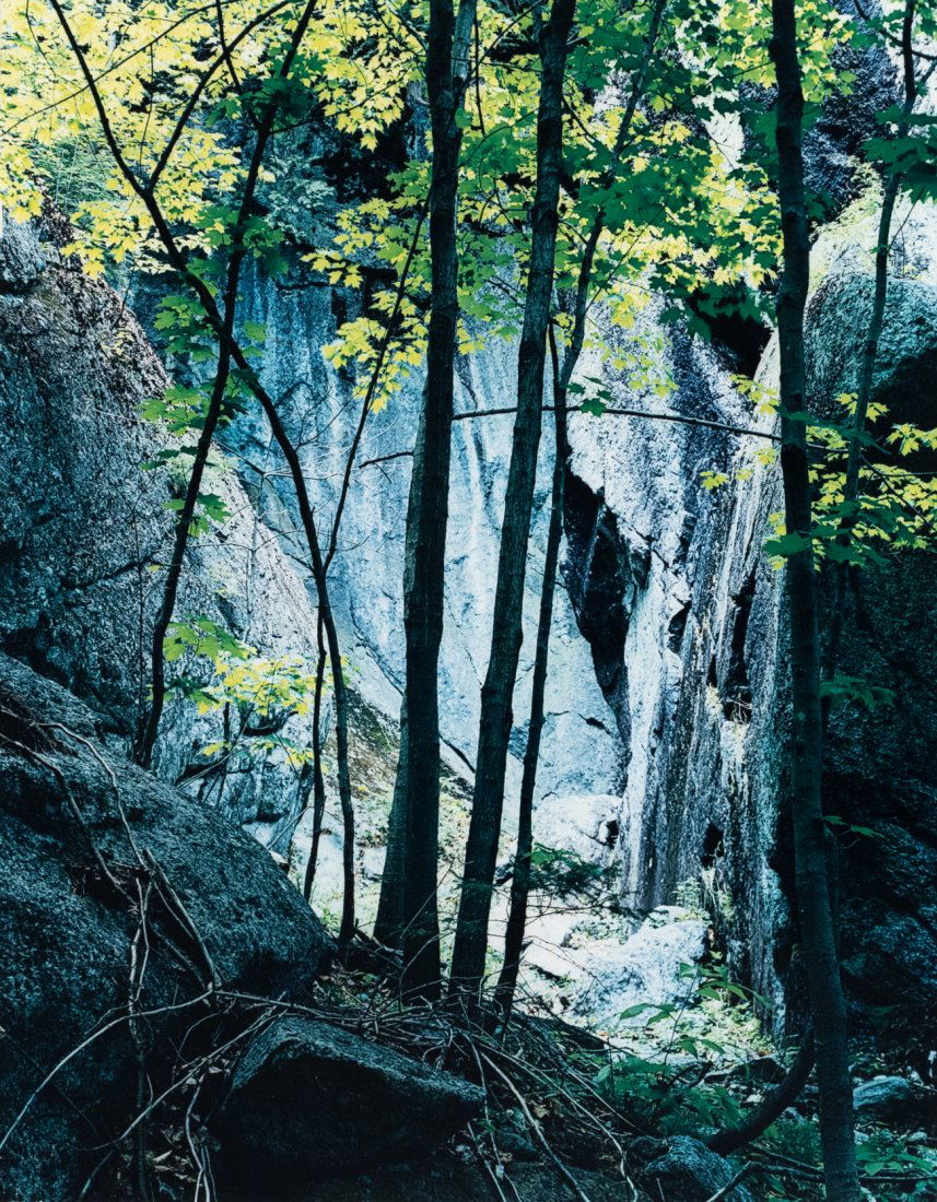ELIOT PORTER Adirondacks Tree & Cliff 1963: ELIOT PORTER. Adirondacks, NY, 1963. 10.5x8.3" dye transfer print mounted on 19x15" board. Printed c. 1970. Signed on mount recto. Photographer's stamp in ink on mount verso: Eliot Porter / No. 65-386