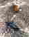item-111690564=5
