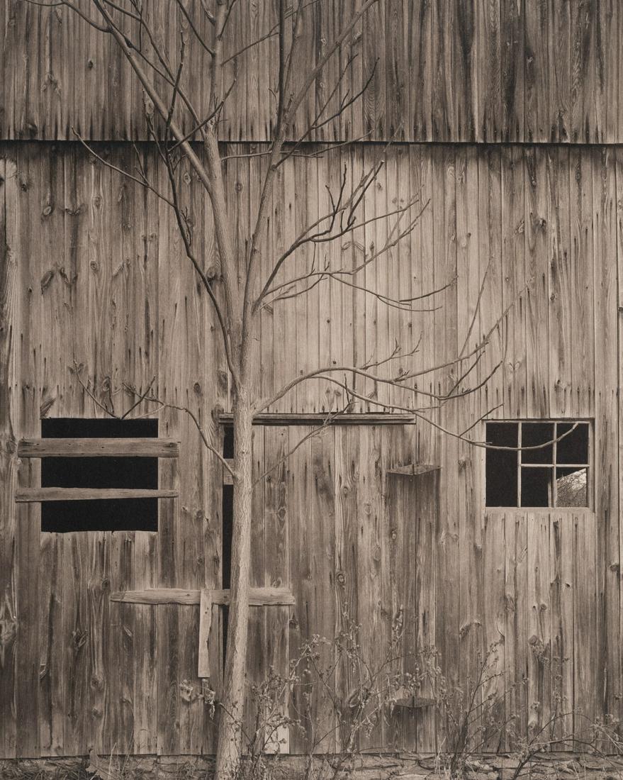 LOIS CONNER Gorgeous Platinum Print 1978: LOIS CONNER. Gum Tree, Pennsylvania, 1978. 9.6x7.7" platinum print on 12x11" paper. Printed c. 1998. Inscribed in pencil on print recto: 20 2 20 240 : 24.1.79; inscribed and signed in negative: "Gumtr