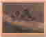 item-117096452=3