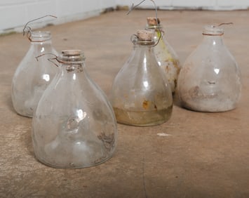 Lot of Five Vintage Wasp Traps