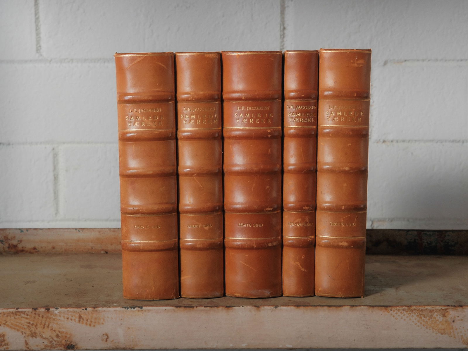 Set of 5 Vintage Leather Books J.P. Jacobsen (1 of 6)