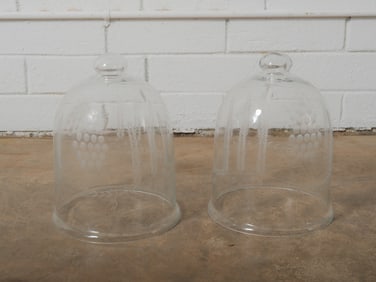 Pair of Etched Glass Cloches