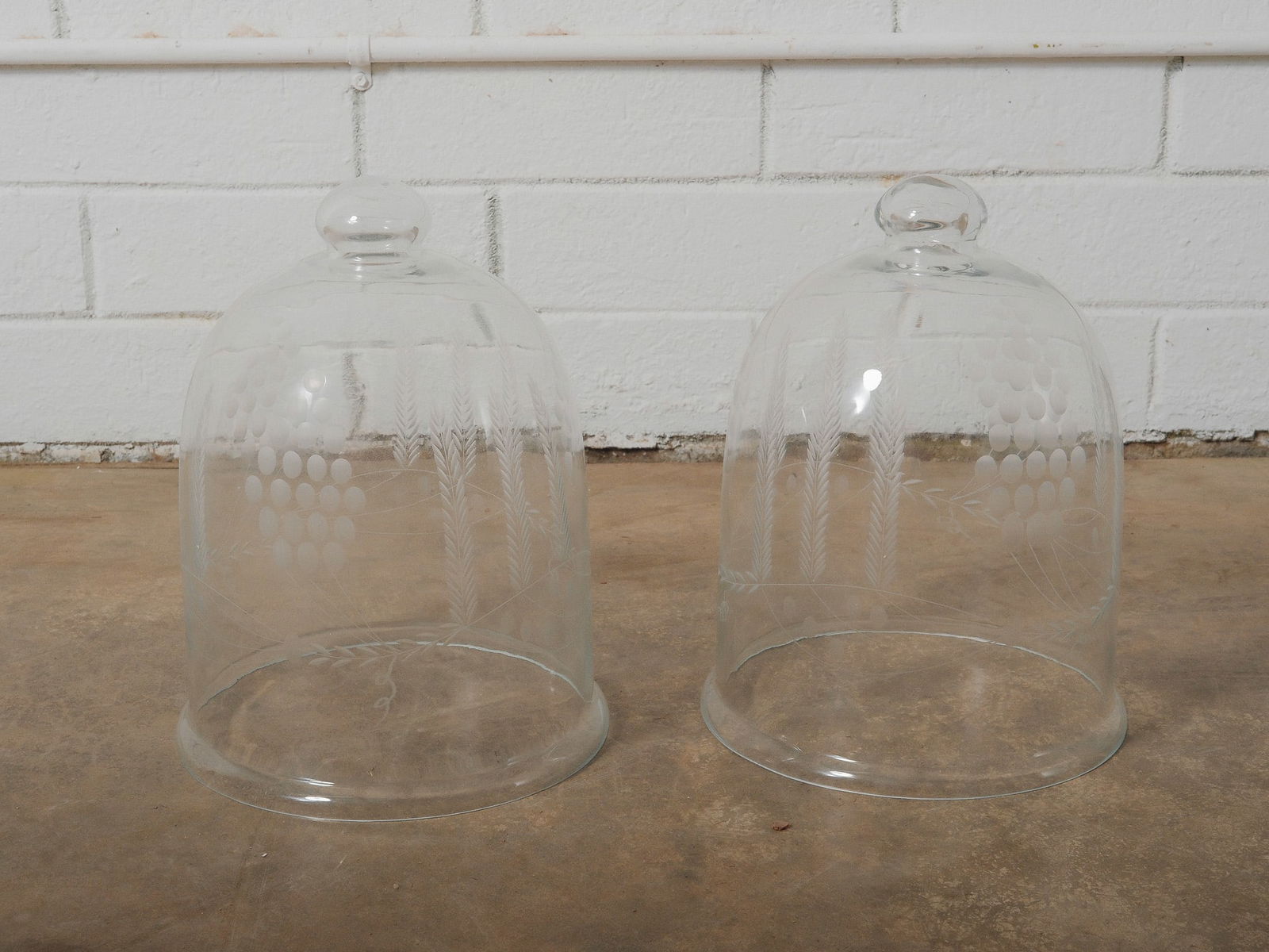 Pair of Etched Glass Cloches (1 of 5)