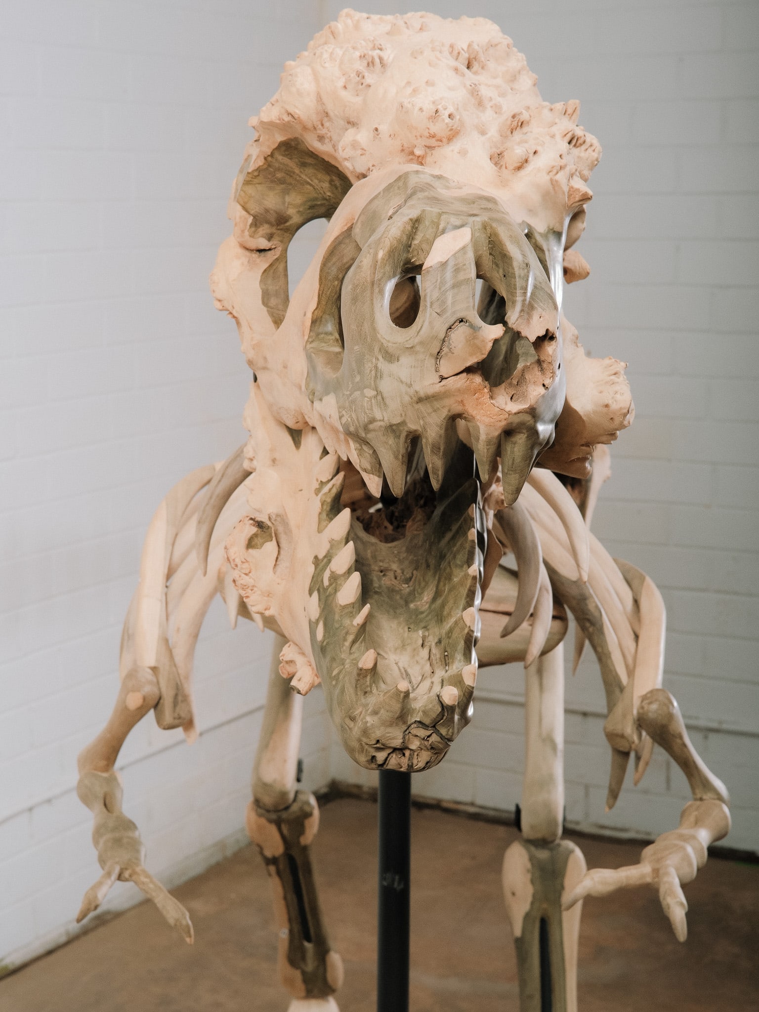 Large Raptor Skeleton Display Model - 8