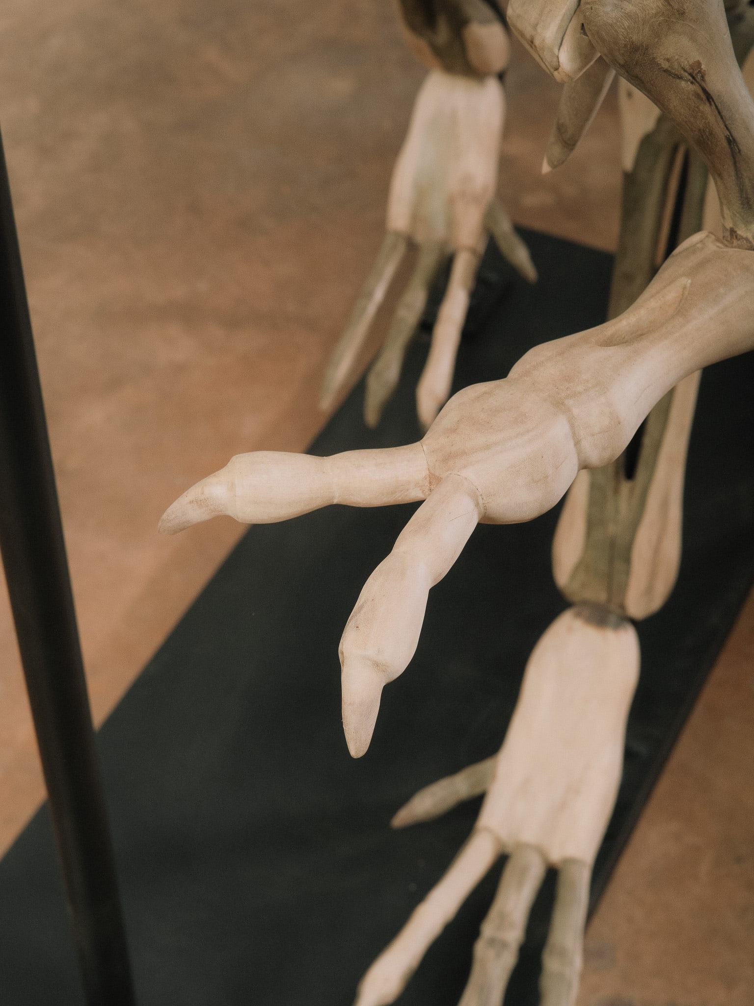 Large Raptor Skeleton Display Model - 9