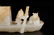 HETIAN WHITE JADE ORNAMENT OF 'BOAT' - 8