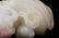 HETIAN WHITE JADE 'BOY AND OX' ORNAMENT - 8