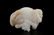 HETIAN WHITE JADE 'BOY AND OX' ORNAMENT - 9