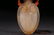 AGATE 'CICADA' SNUFF BOTTLE - 4