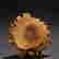 item-137340640=9