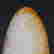 item-137341069=3