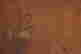 item-92452596=6