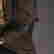 item-100431304=5