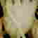 item-108046945=3