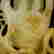 item-108046945=6