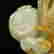 item-108046947=5