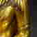 item-113243833=5