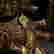 item-117717598=3