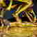 item-117717851=12
