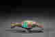 item-118327800=8