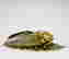item-120396164=2