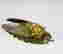 item-120396164=3