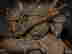item-125110751=3