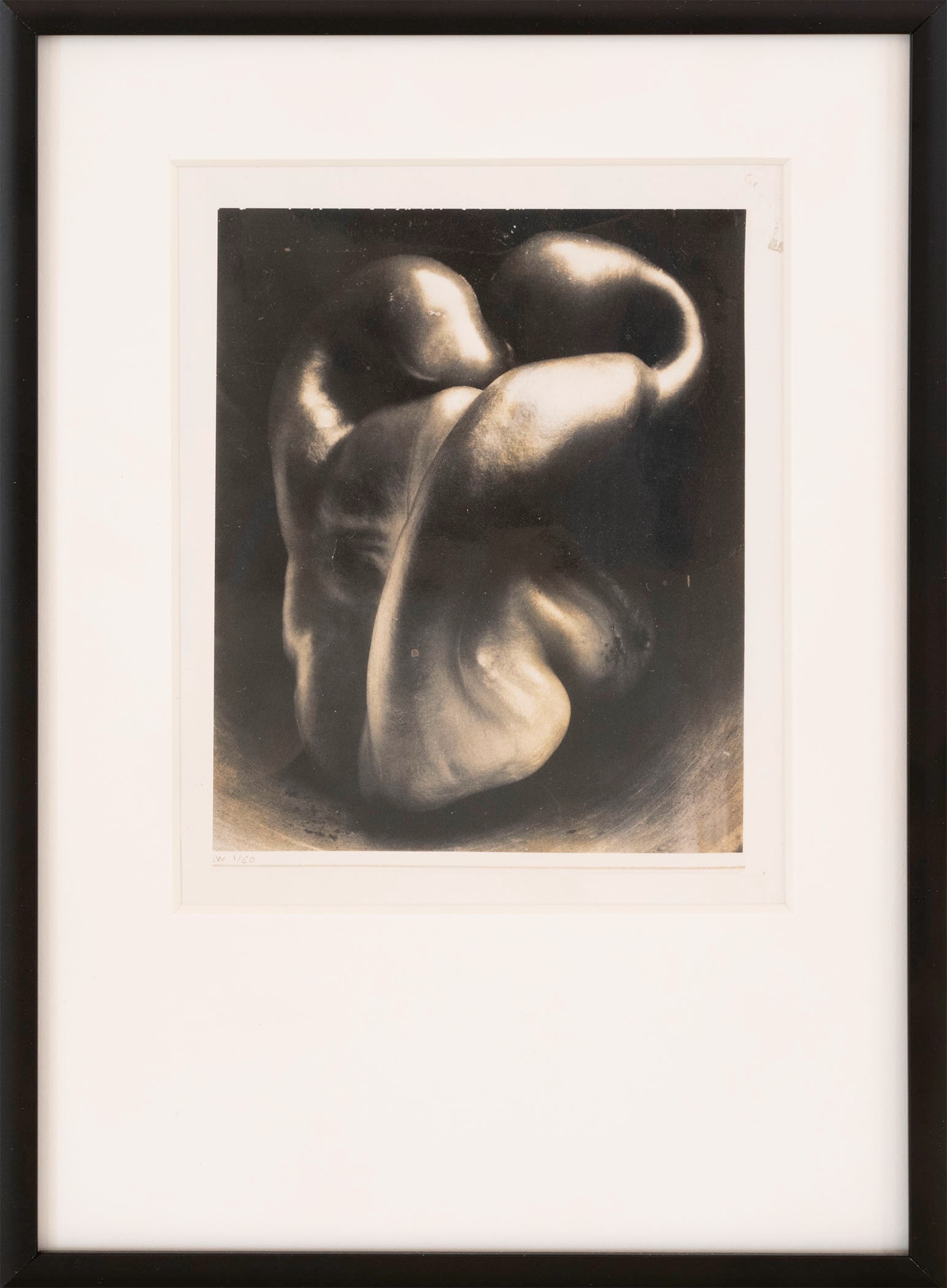EDWARD WESTON AND MARK SINK PHOTOGRAPHS (1 of 4)