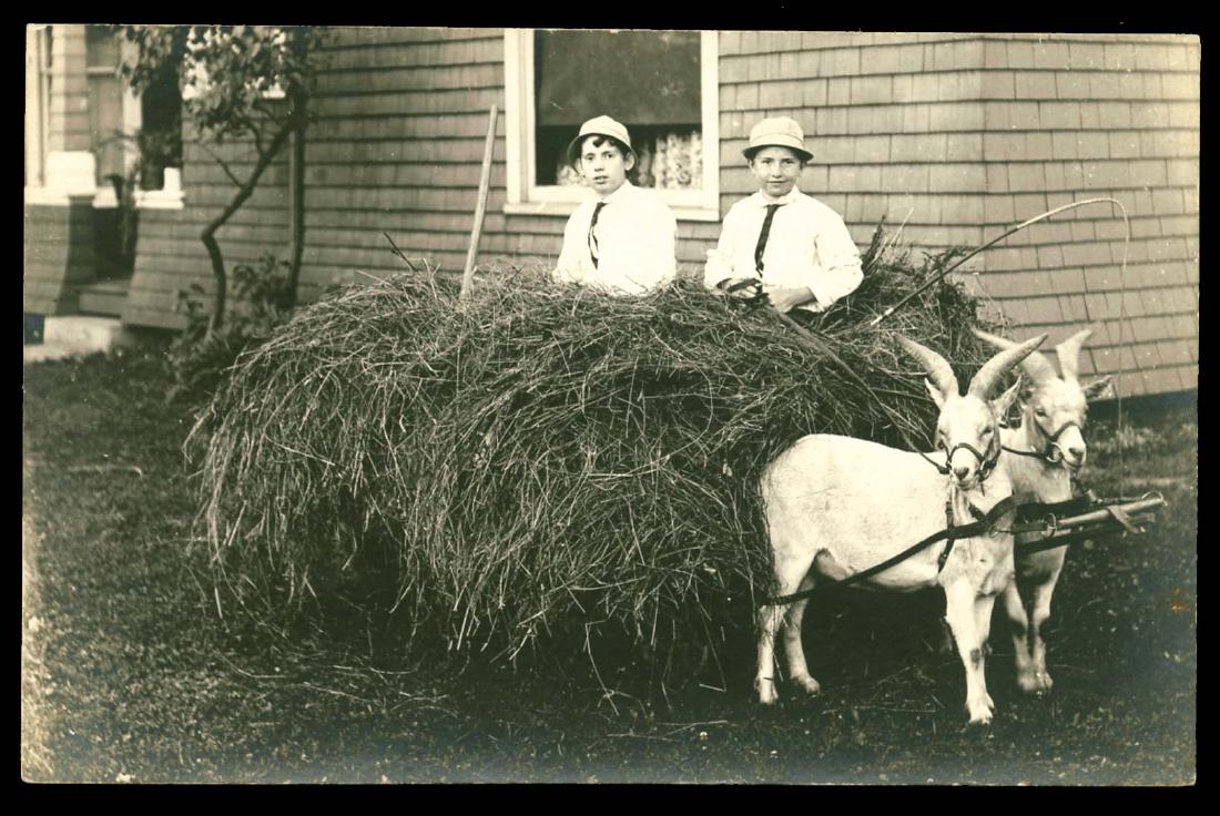 Real Photo - Best Miscellaneous - (1 of 1)