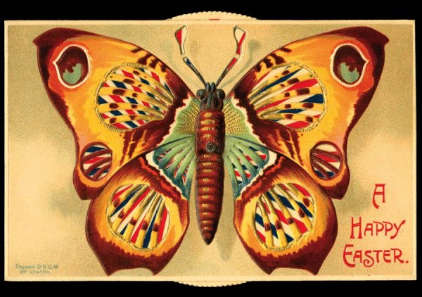 Printed , Novelty , Mechanicals , Butterfly Kale