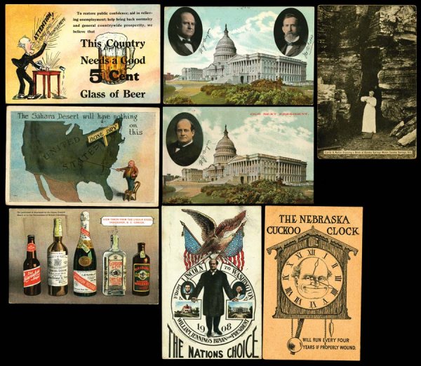 Social History , Temperance and Politics , Carri