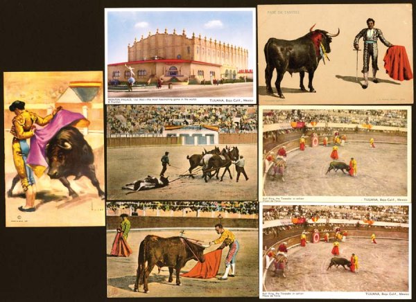 Sports , Sports-Misc , Bull Fighting , Various v