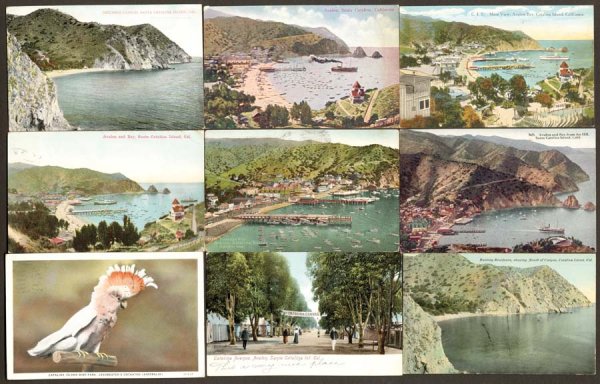 Views, U.S.A. , California , Catalina Island , N