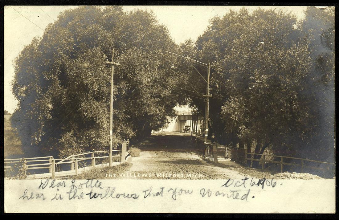 RPPC - USA Views - The Willows (1 of 1)