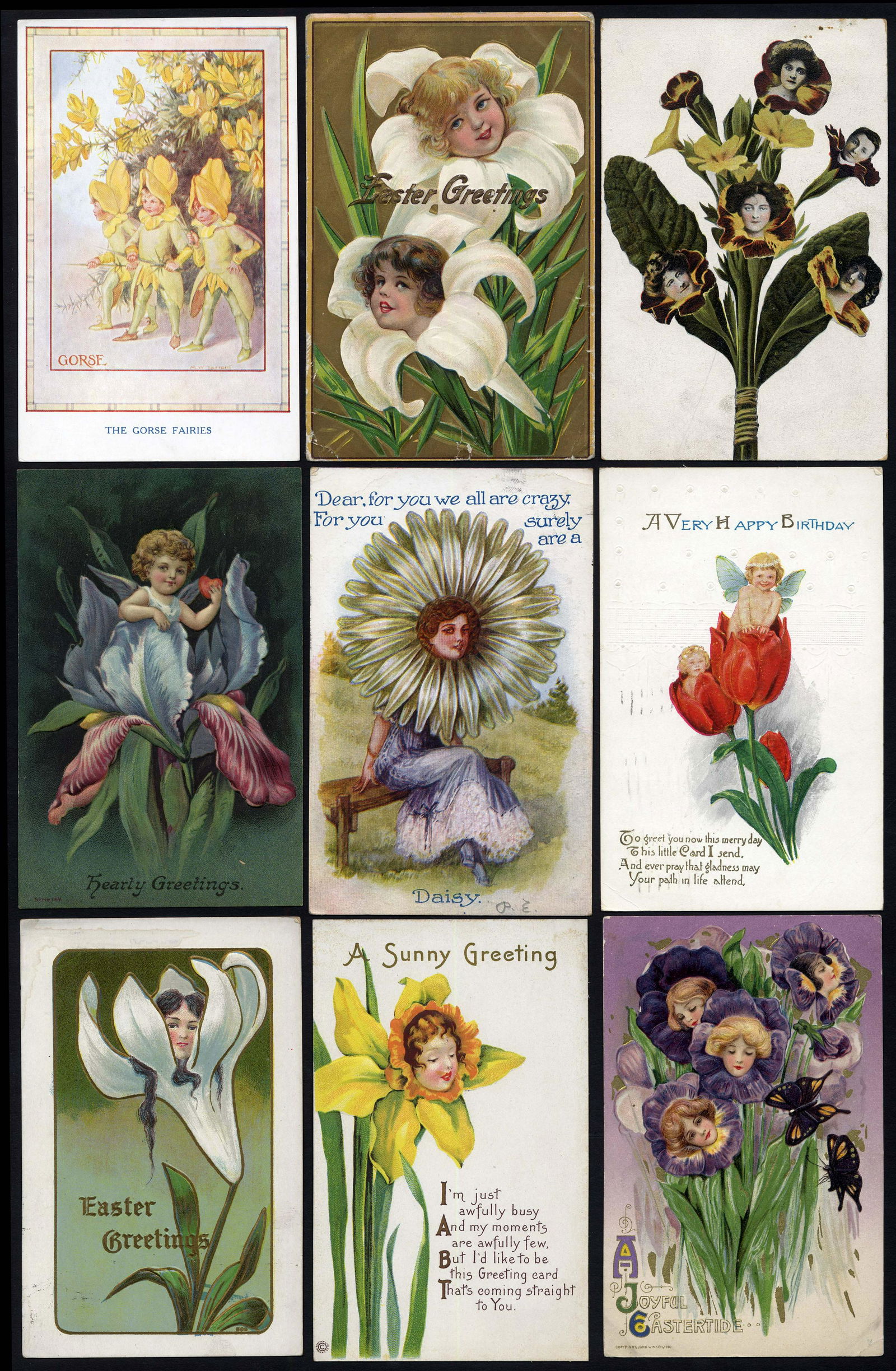 Fantasy Flowers (1 of 1)