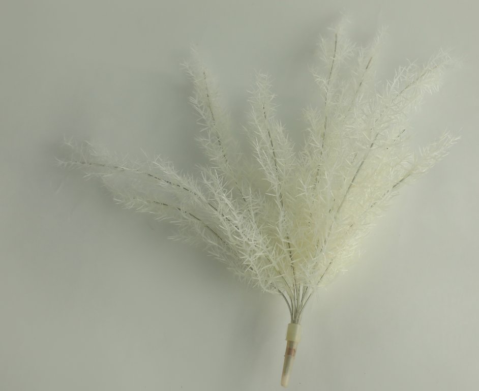 Underwater Plant from Submarine Voyage (1 of 3)