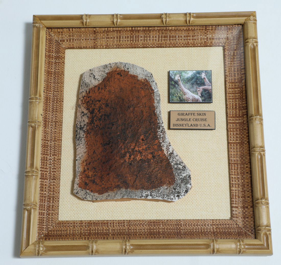 Disneyland Jungle Cruise Giraffe Skin Prop (1 of 2)