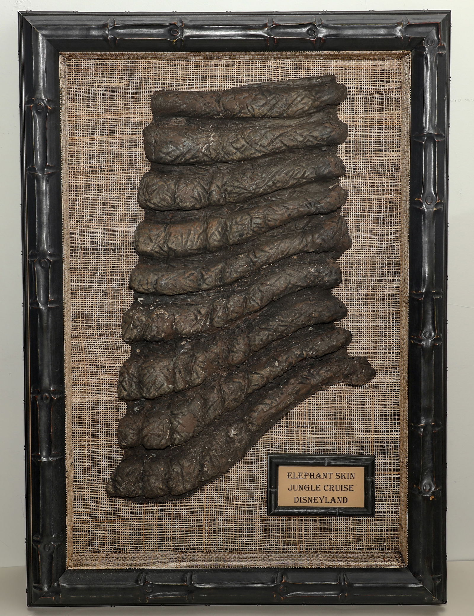 Jungle Cruise Elephant Skin Large Framed Prop Display. (1 of 4)