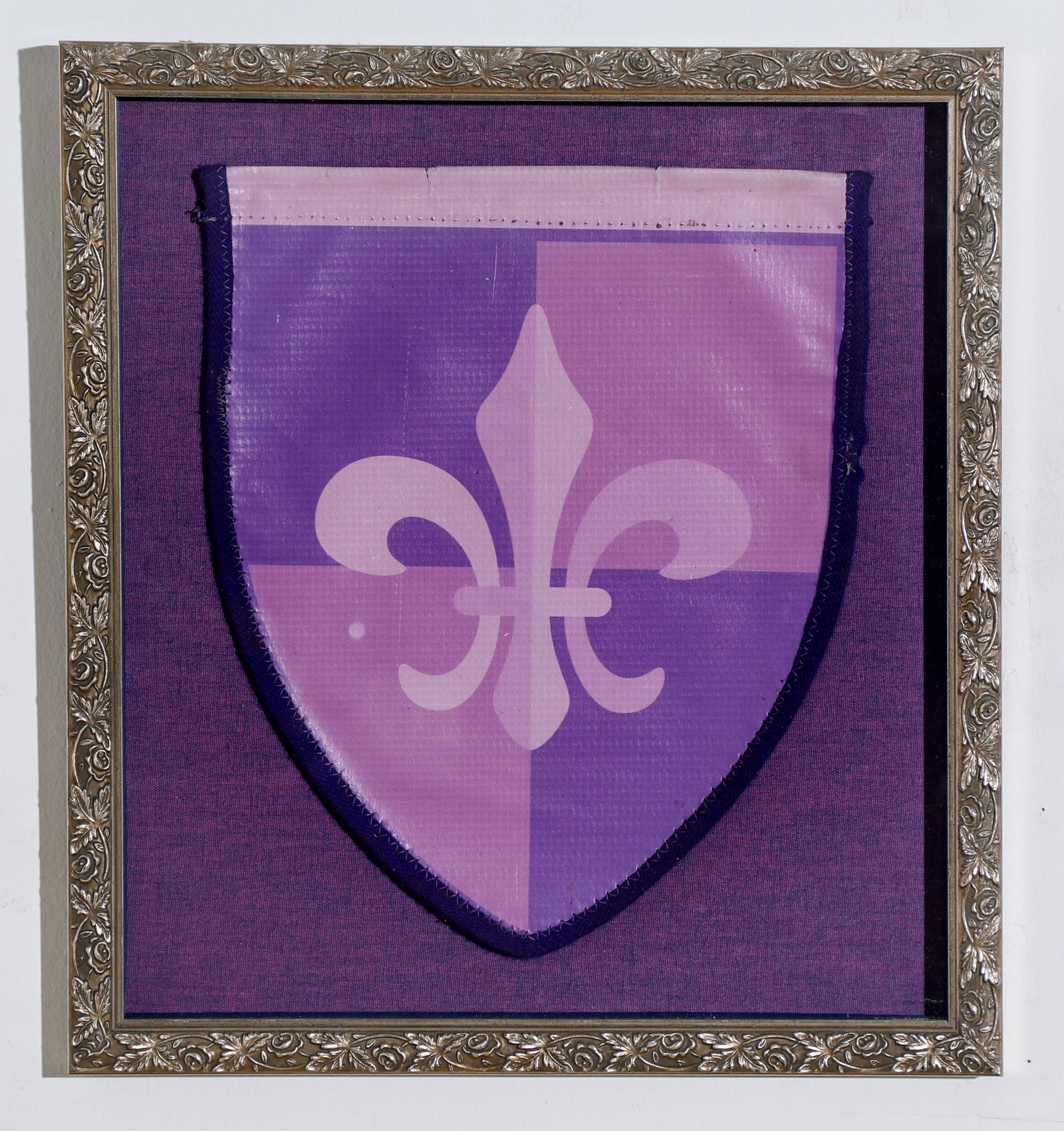 Fantasyland Framed Crowd Control Flag. (1 of 3)