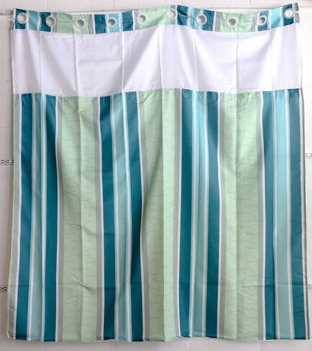 Disneyland Hotel Shower Curtain. (1 of 1)