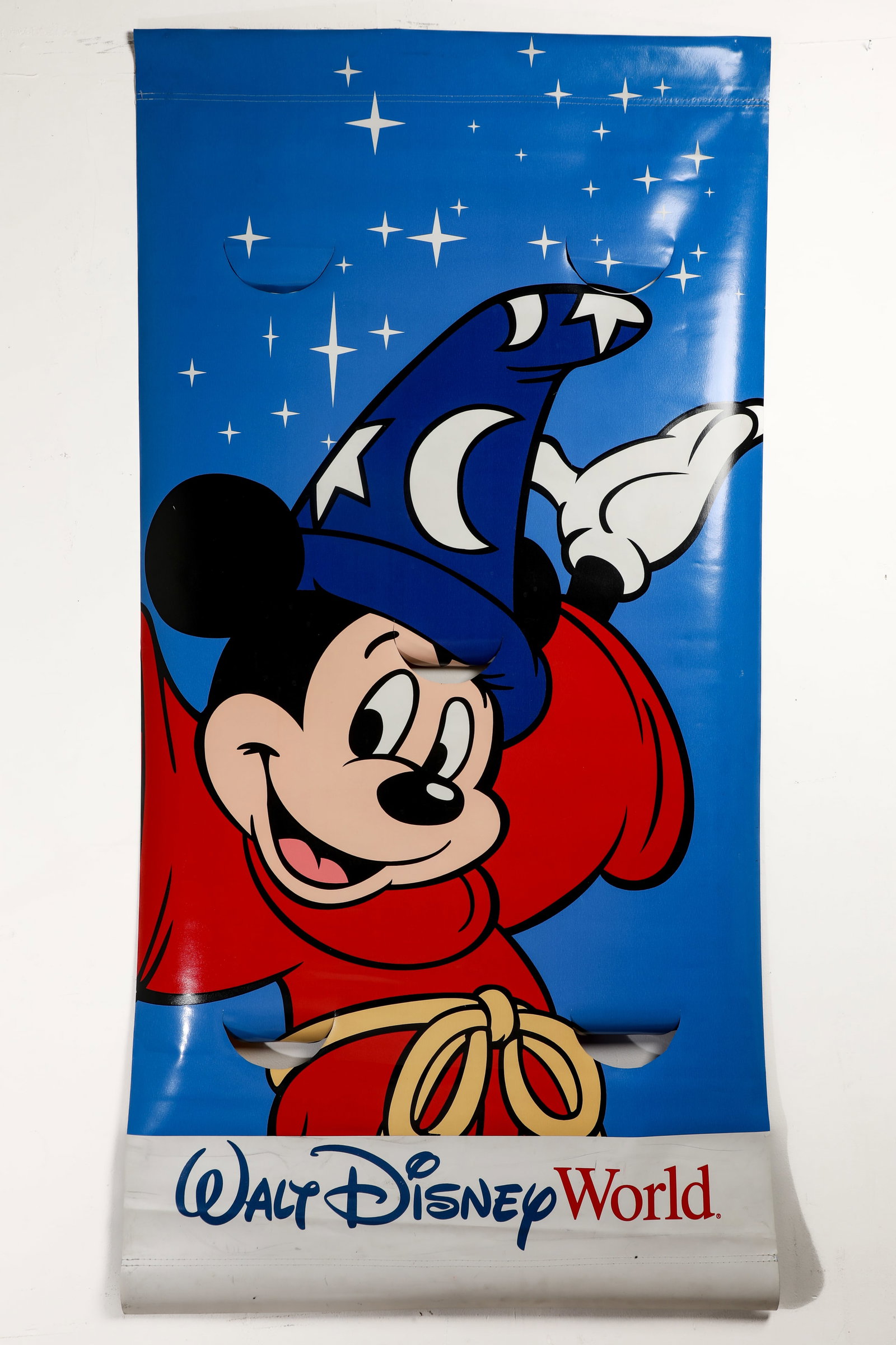 Walt Disney World "25 Magical Years" Double-Sided Banner. (1 of 7)