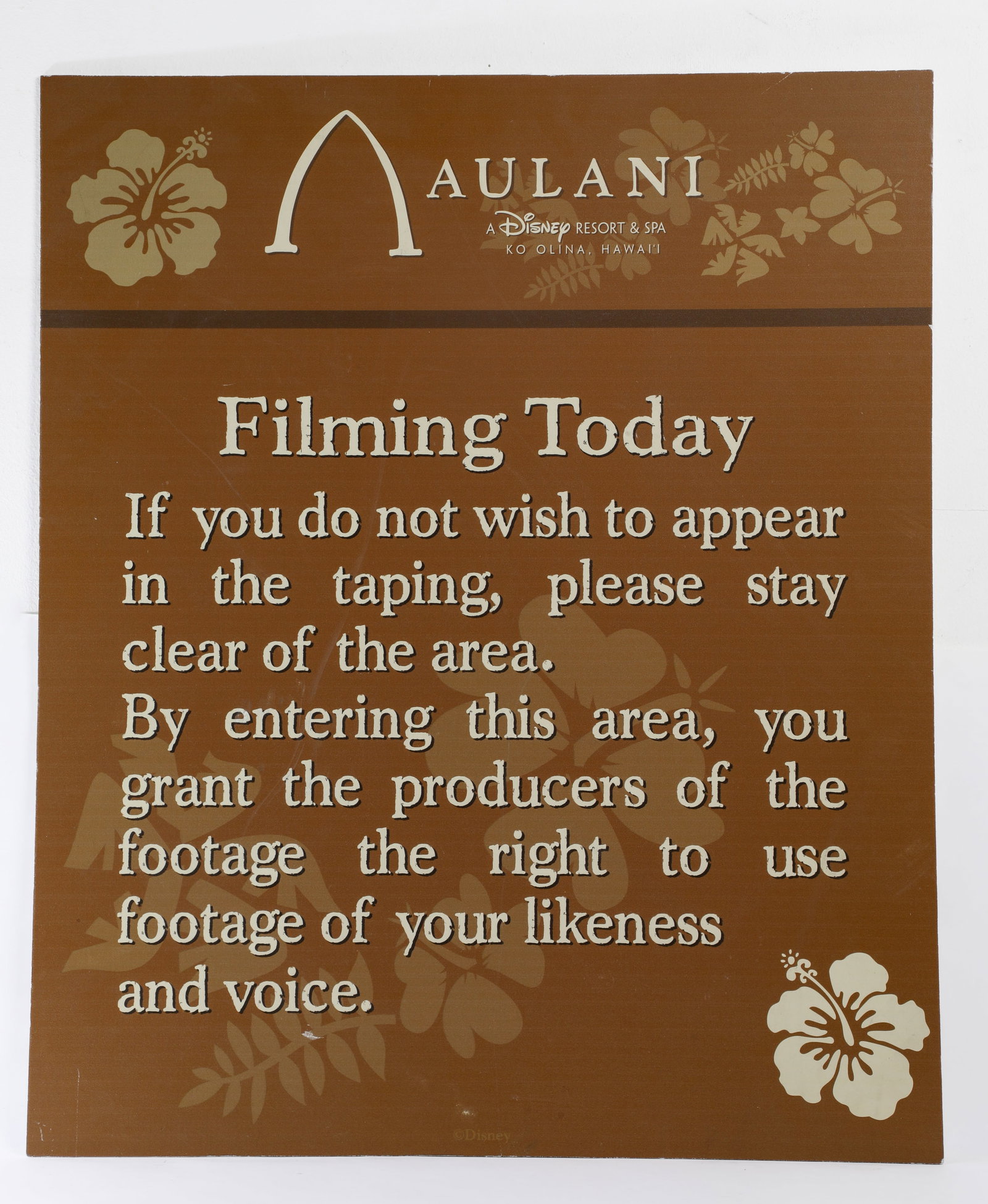 Aulani Resort & Spa "Filming Today" Sign.: (Disney, c. 2020) This is a rare sign from Disney's Aulani Resort & Spa in Ko Olina, Hawaii. The sign announced a filming event that day, and features the logo and name of the Resort at the top with a