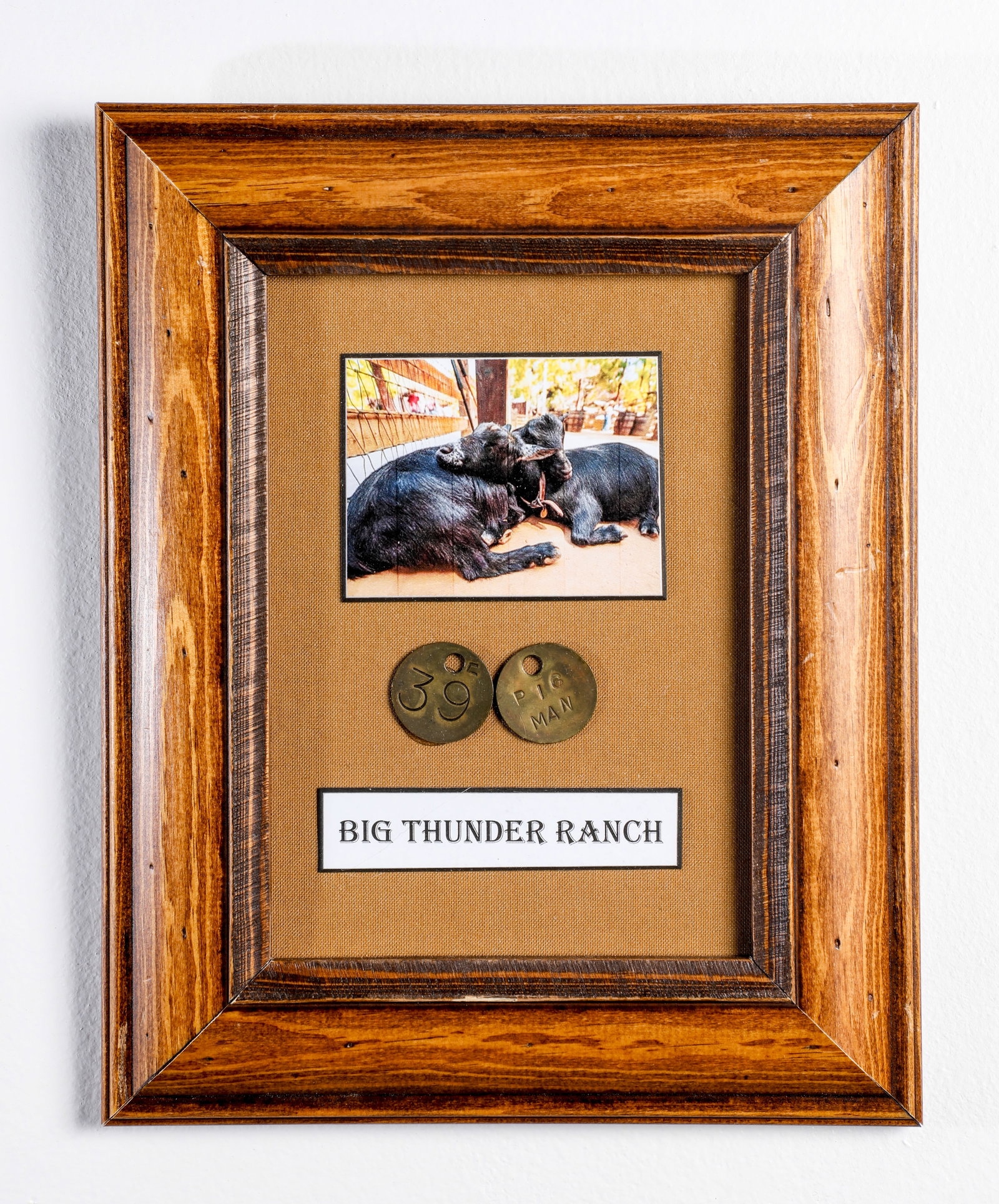 Disneyland - Frontierland Big Thunder Ranch Animal Cast Member Control Tags (1986-2016) (1 of 4)
