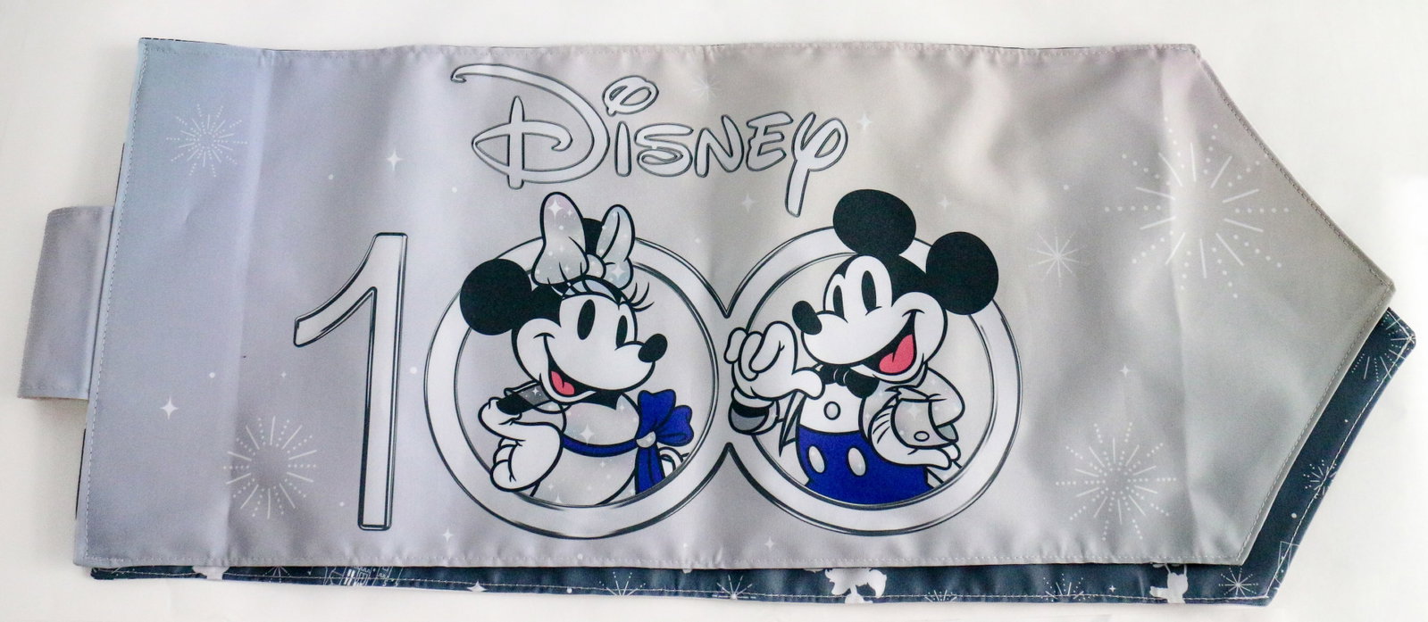 Disneyland - “100 Years of Disney Wonder” Banner Flag (2022-2024) (1 of 5)