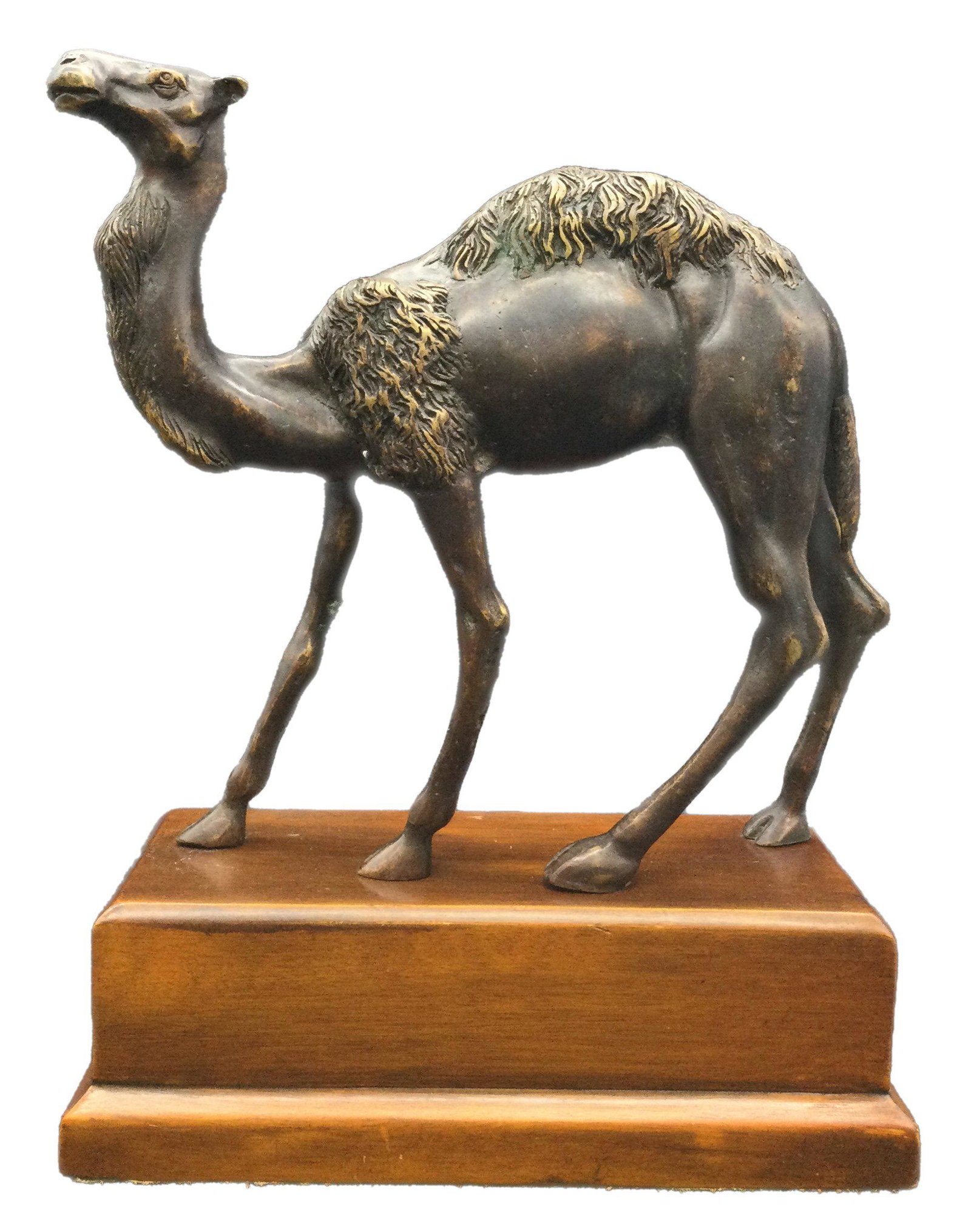 Theodore Alexander Bronzed Camel Metal Sculpture: Bronzed Camel Metal Sculpture Theodore Alexander Furniture & DÃ©cor Stores. Approx. Size 12 Tall x 9.25 Deep x 4.5 wide, weight 6.9 lbs. For Shipping please contact your preferred provider or our pr