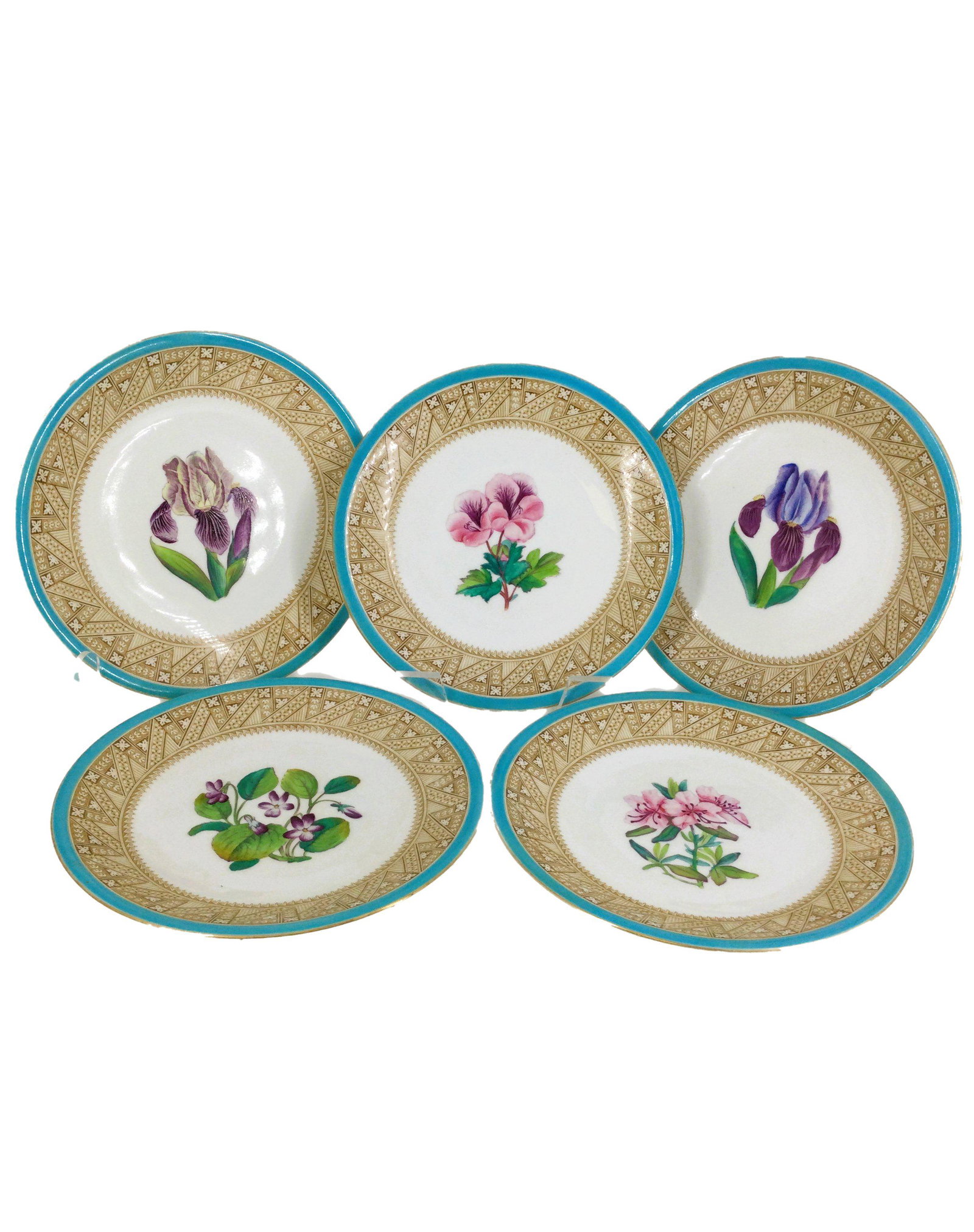 Antique Royal Worcester Plates for Coldwell (1 of 6)